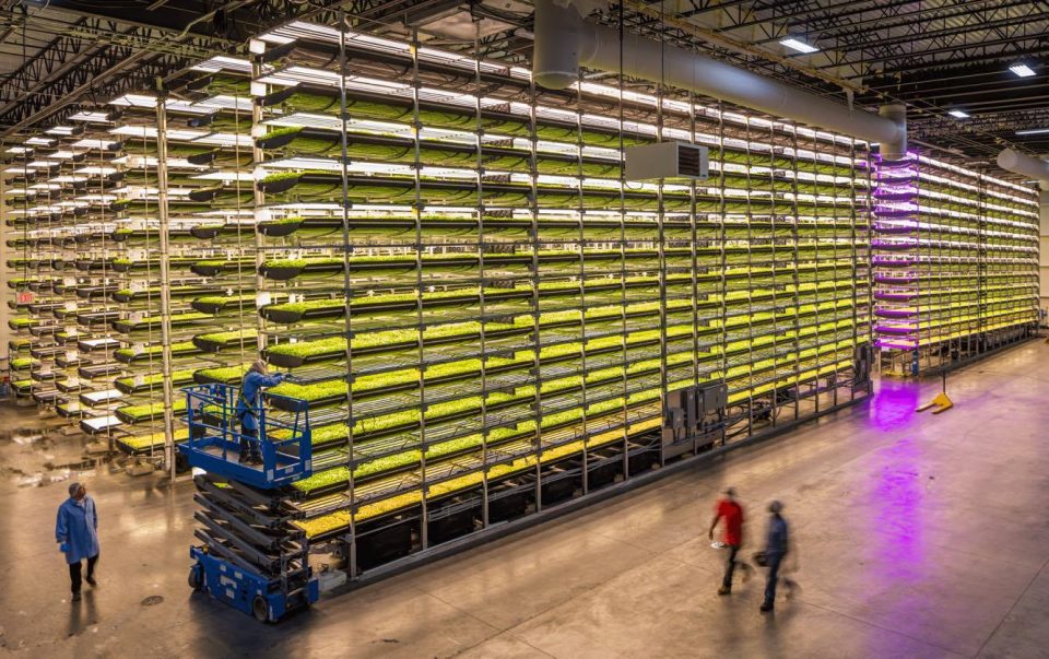 🌾 UAE is investing $100 million in indoor farming as it tries to become more self-sufficient