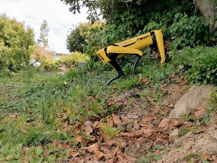 🐑 Spot the robot dog is now herding sheep in New Zealand