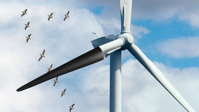 🦅 A simple improvement to wind turbines can greatly reduce bird deaths