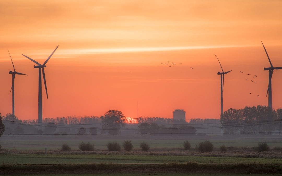 🦅 A simple improvement to wind turbines can greatly reduce bird deaths