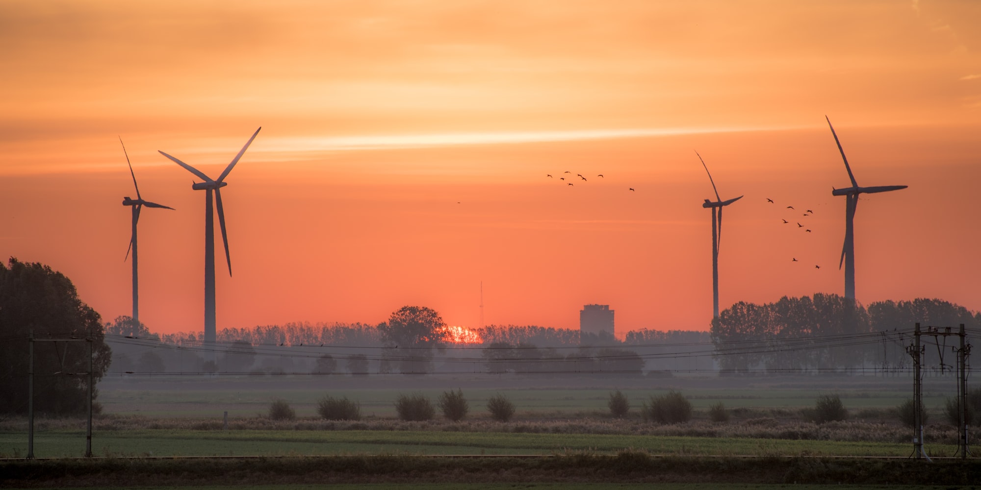 🦅 A simple improvement to wind turbines can greatly reduce bird deaths