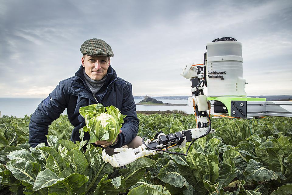 🌟 Robocrop – the robot that will pick cauliflower