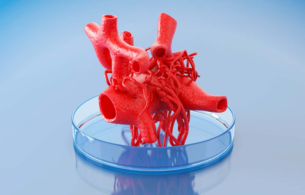 🖨 5 ways that 3D printers can be useful in healthcare