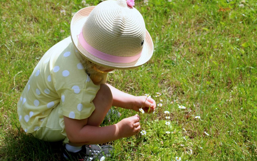 ☘ Greener schoolyards can give children a better immune system