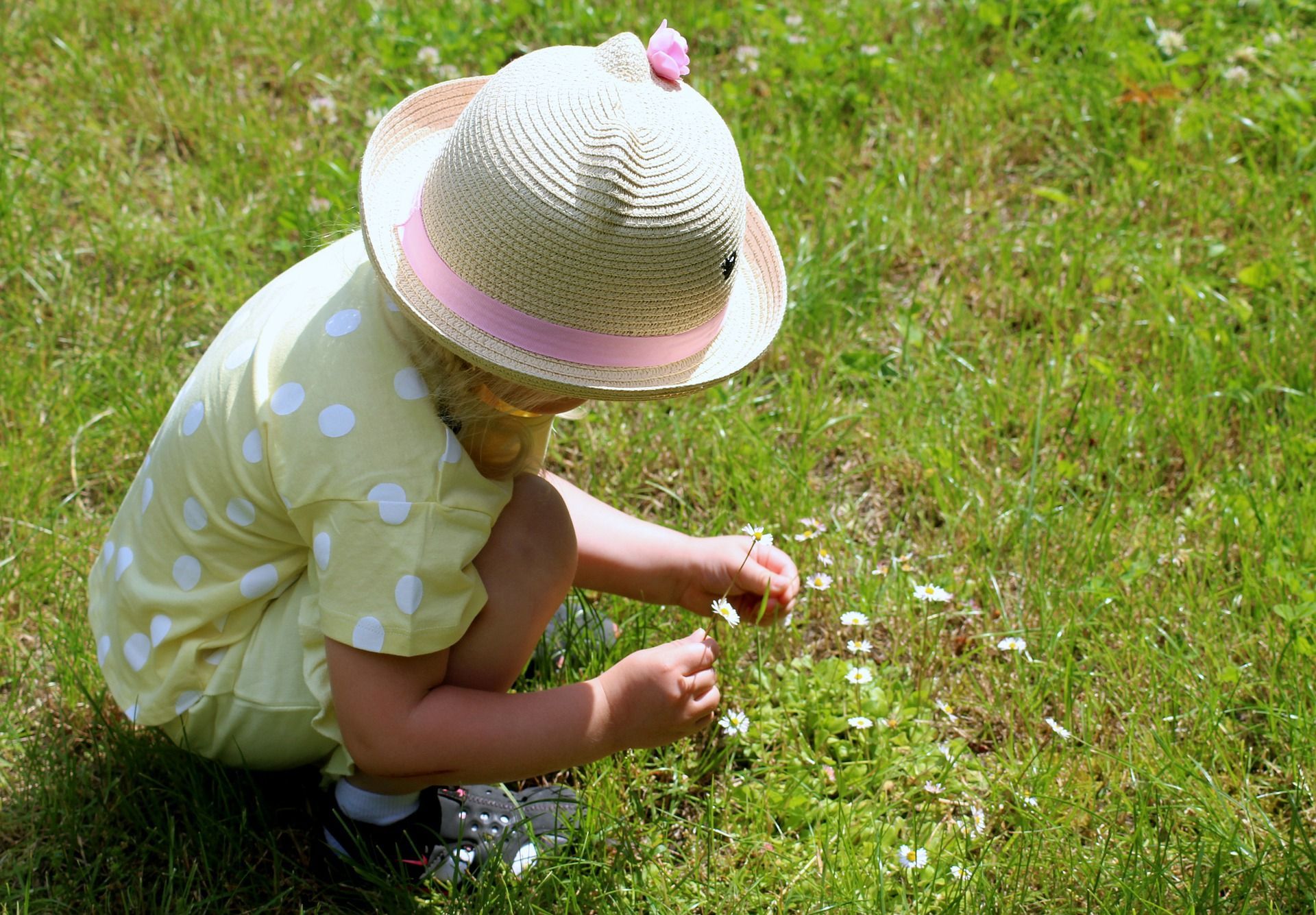 ☘ Greener schoolyards can give children a better immune system