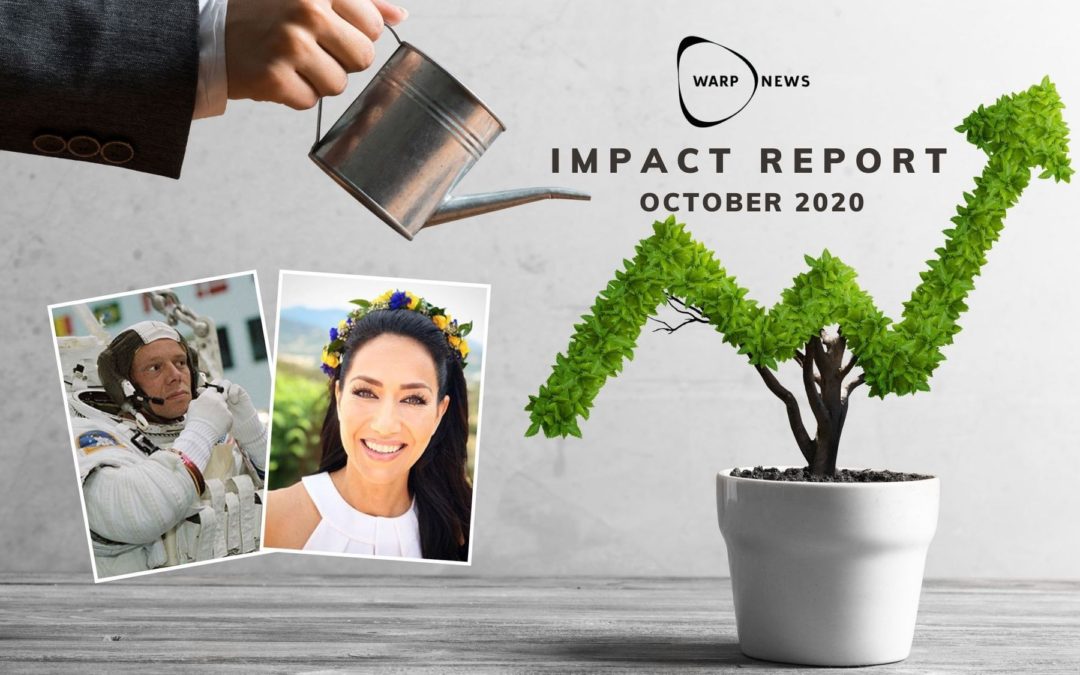 📝 Warp News Impact – October 2020