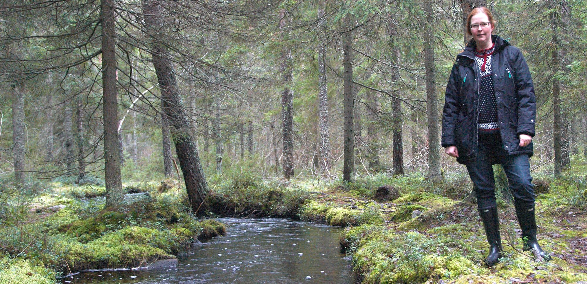 🌅 AI finds hidden streams and wetlands