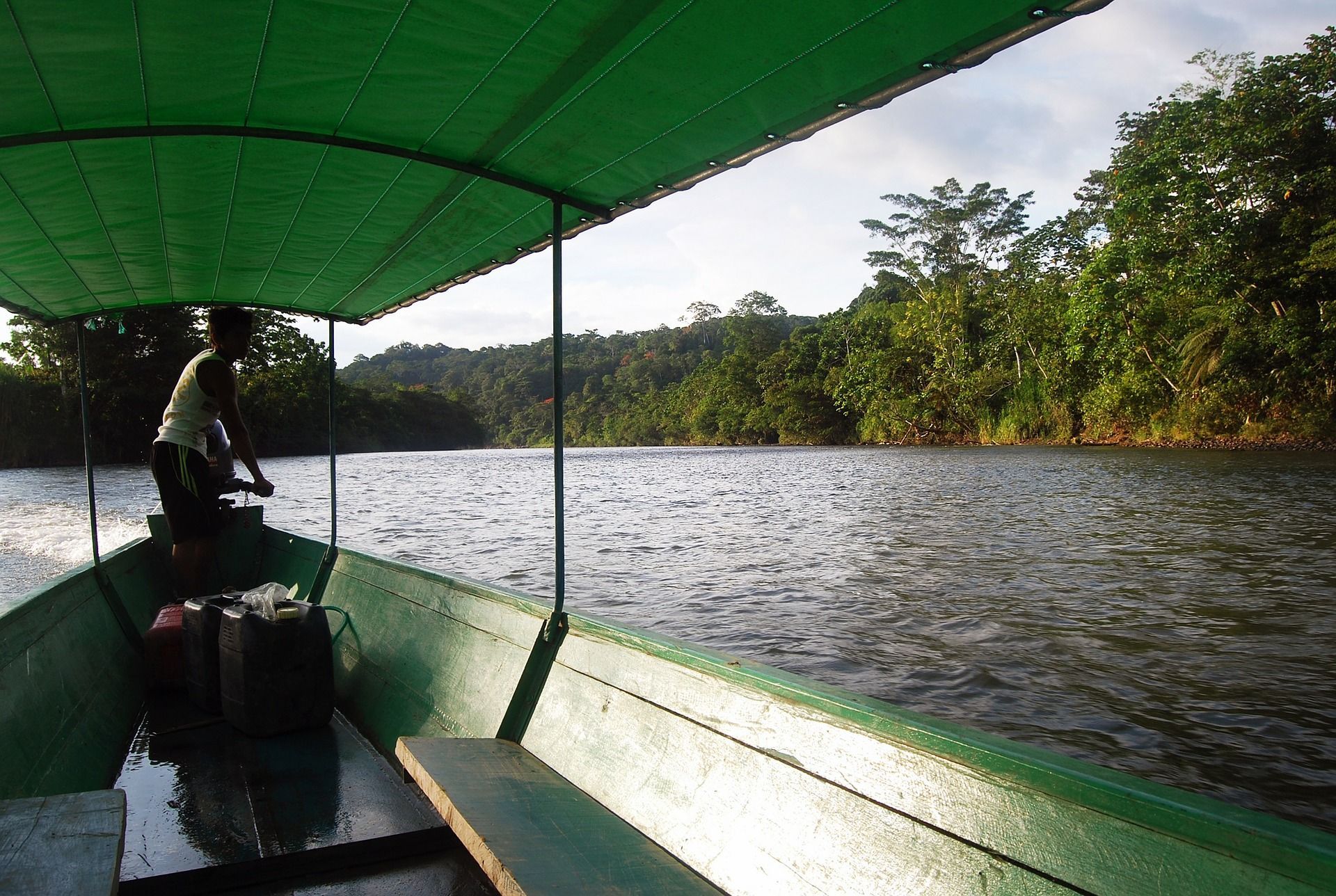 🌴 The project that saved 18,000 square kilometers of rainforest