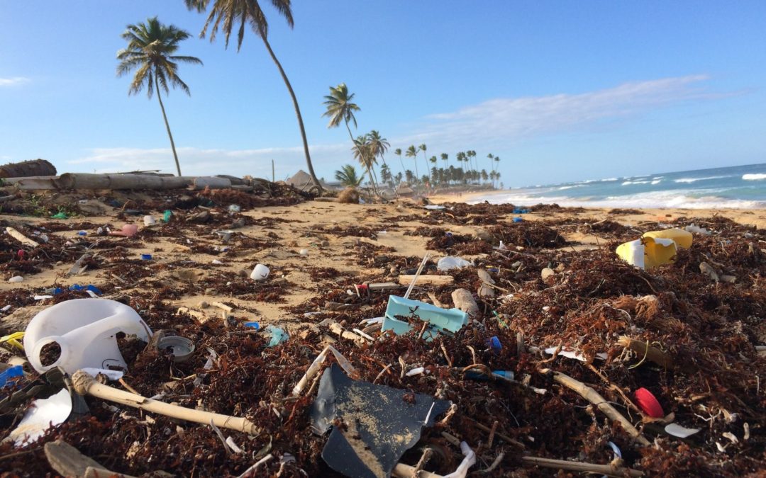 ♻️ Plastic is turned into hydrogen – a clean source of fuel