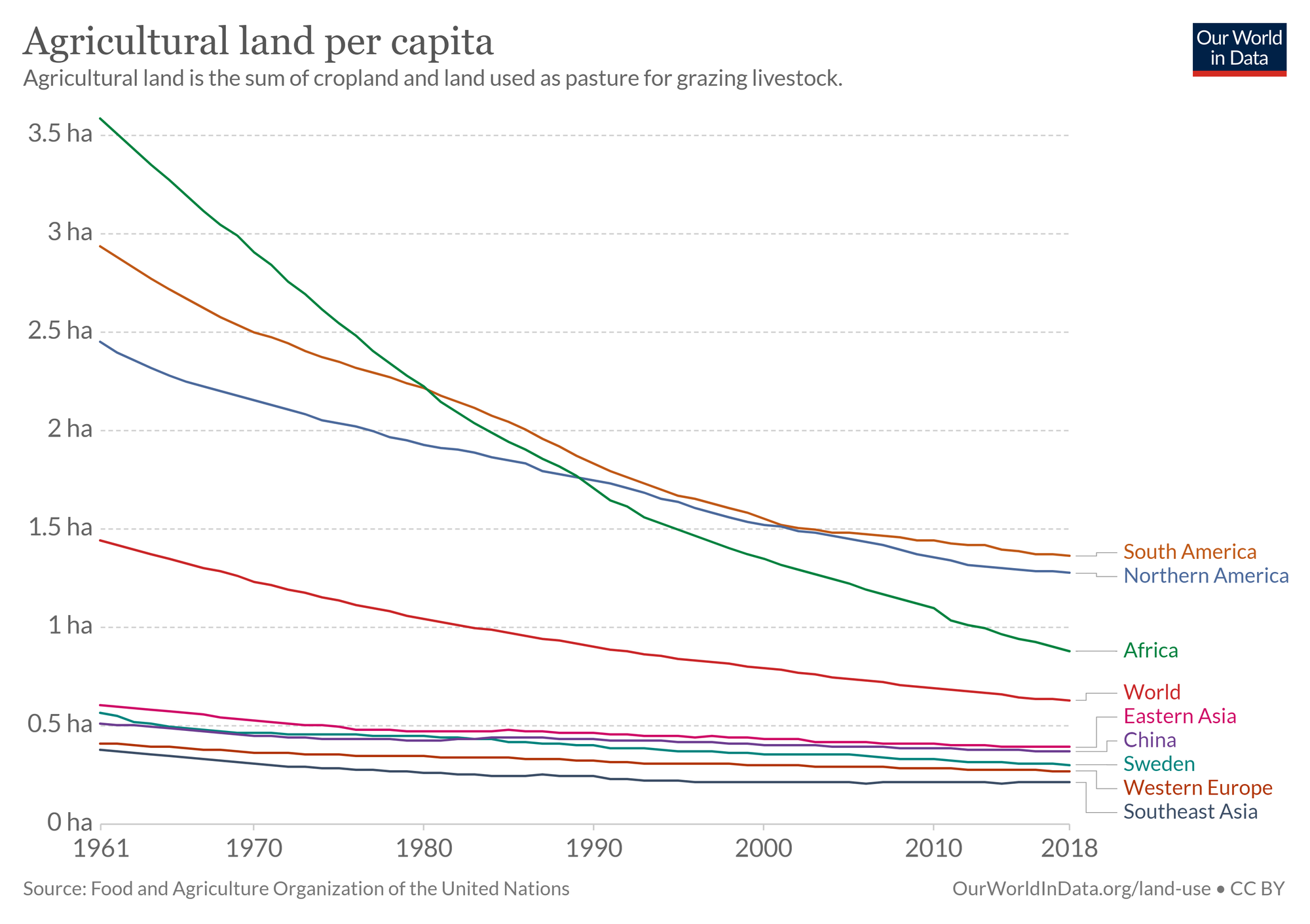 🌲 Deforestation is declining and now the world's forests are starting to get bigger again