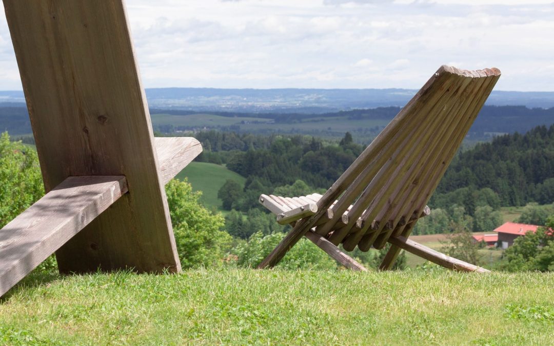 🌳 Cultivated wood can be a sustainable alternative to plastic