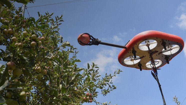 🍏 A flying robot picks fruits when they are perfectly ripe