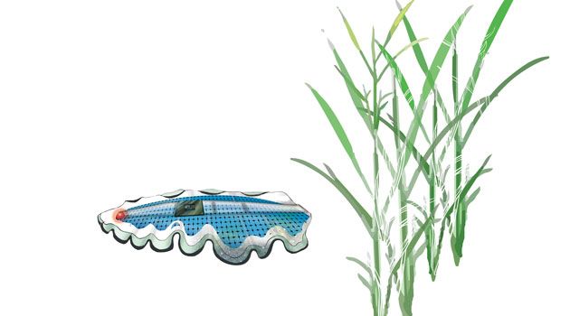 🐍 Mask-like micro-robot will map the environmental impact of agriculture