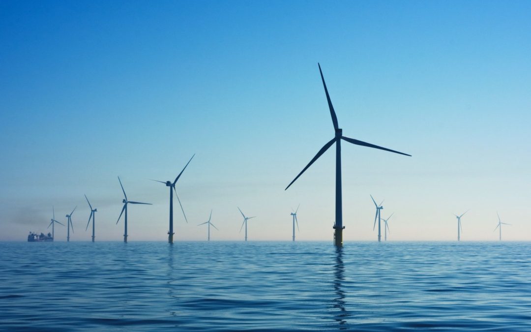 🐠⬛️ Reef Cubes – A way to re-boost marine biodiversity and protect offshore wind farms