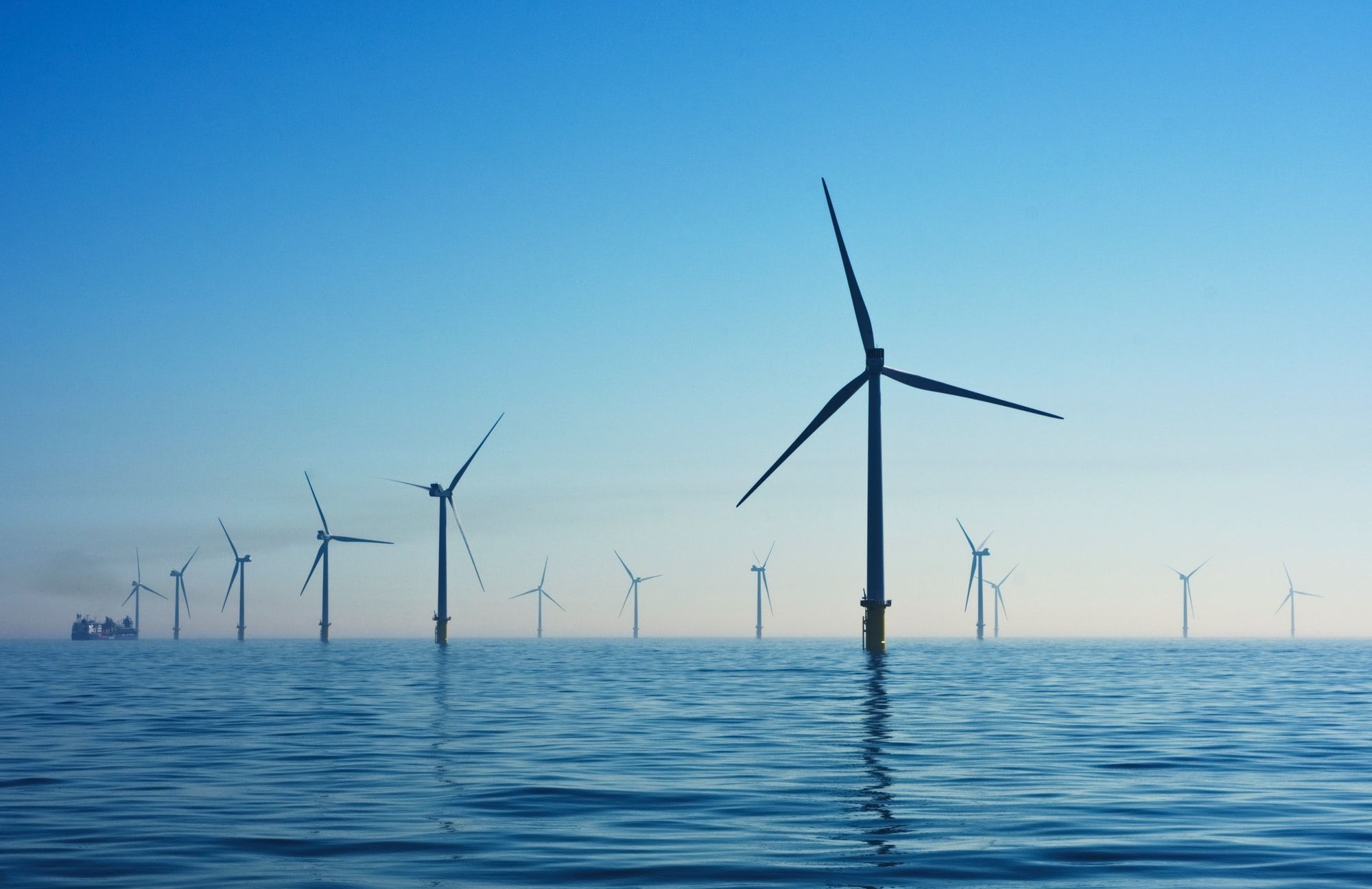 🐠⬛️ Reef Cubes - A way to re-boost marine biodiversity and protect offshore wind farms