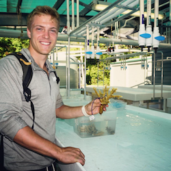 🦾 CHARM - the coral farming robot