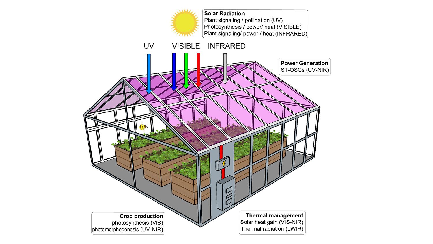 ☀ Glass in greenhouses can act like solar panels