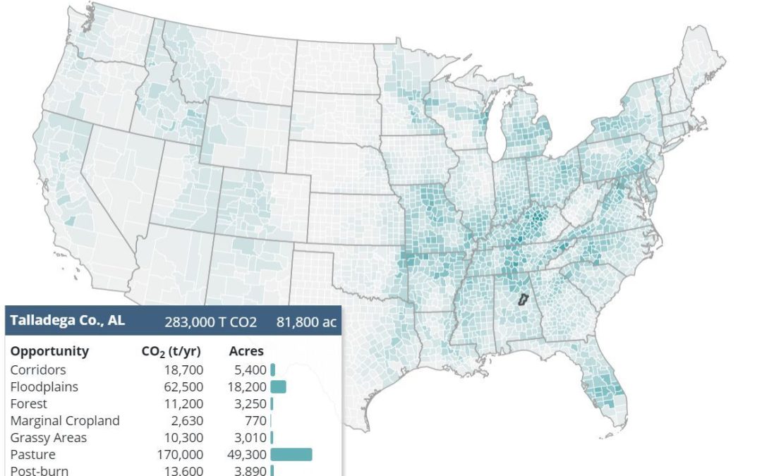 🌲 An interactive map shows the best places to replant forests