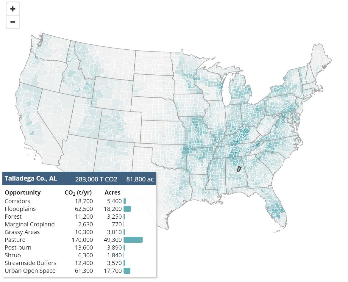 🌲 An interactive map shows the best places to replant forests