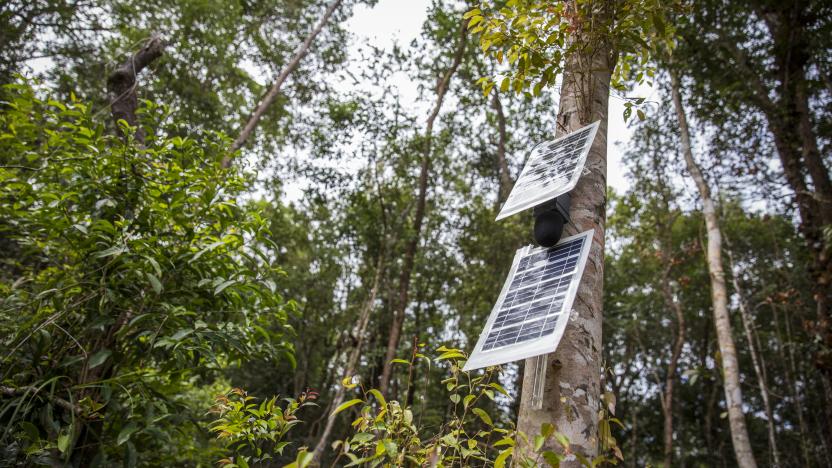 👂AI listening device helps rangers deal with illegal logging