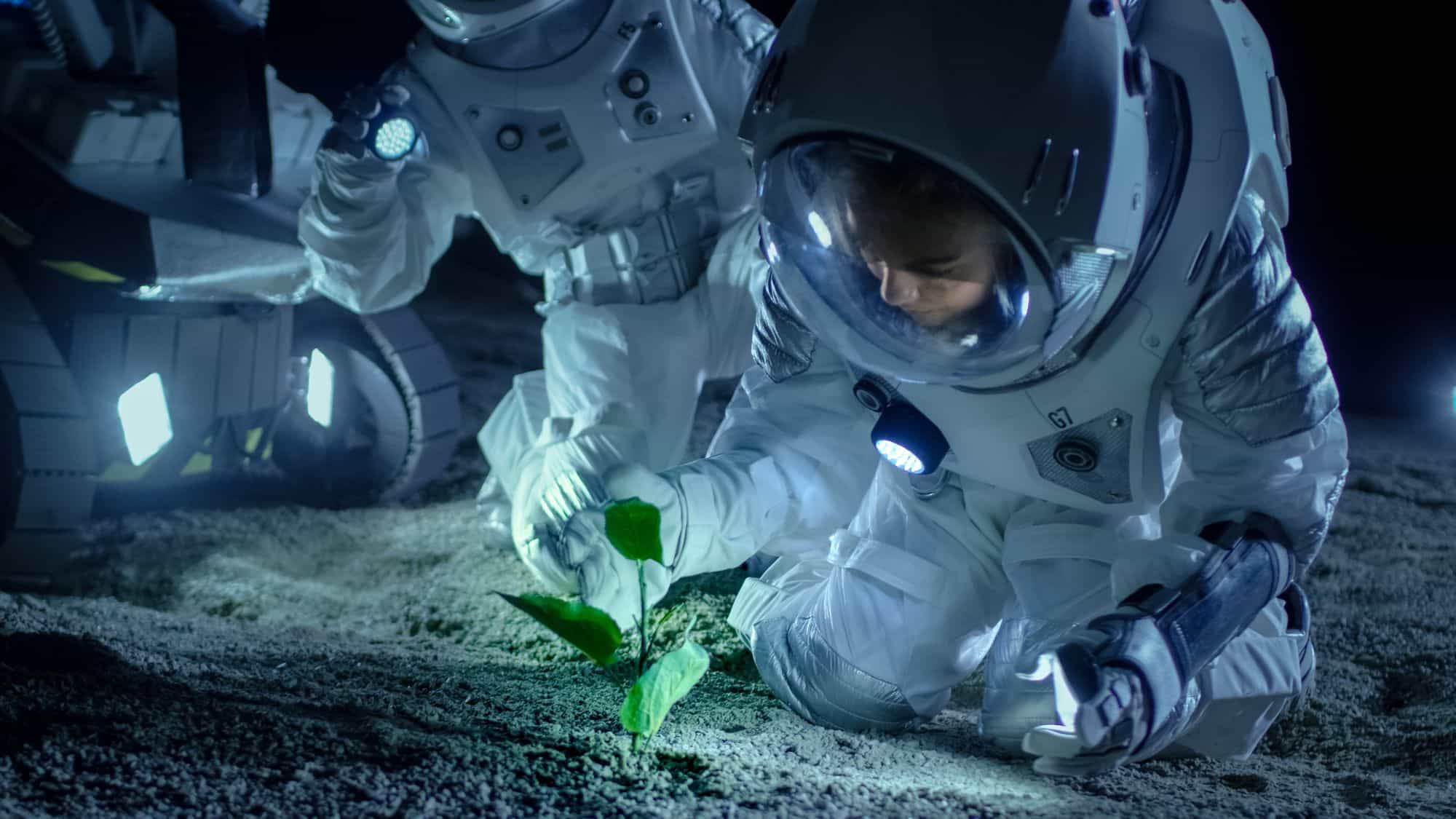 🚀 Deep Space Food Challenge-change the food industry of space travel