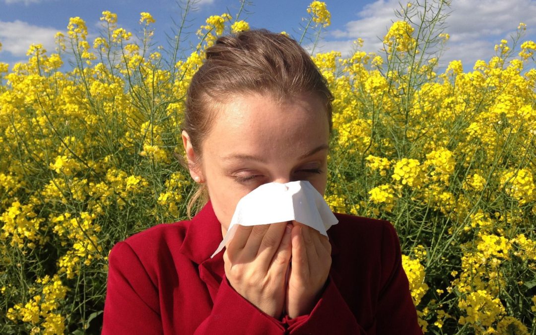 🌸 Scientists can now predict what the whole pollen season is going to look like