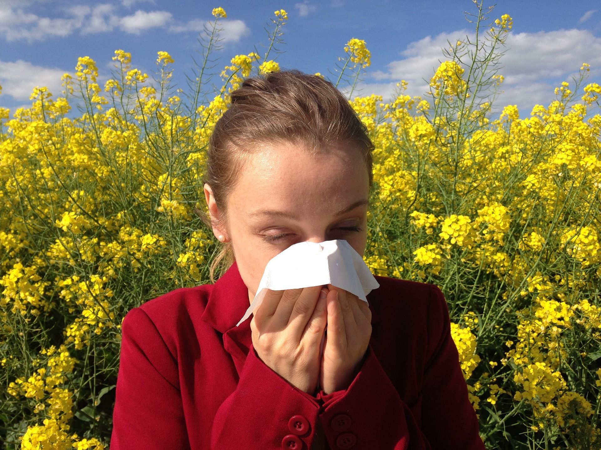 🌸 Scientists can now predict what the whole pollen season is going to look like