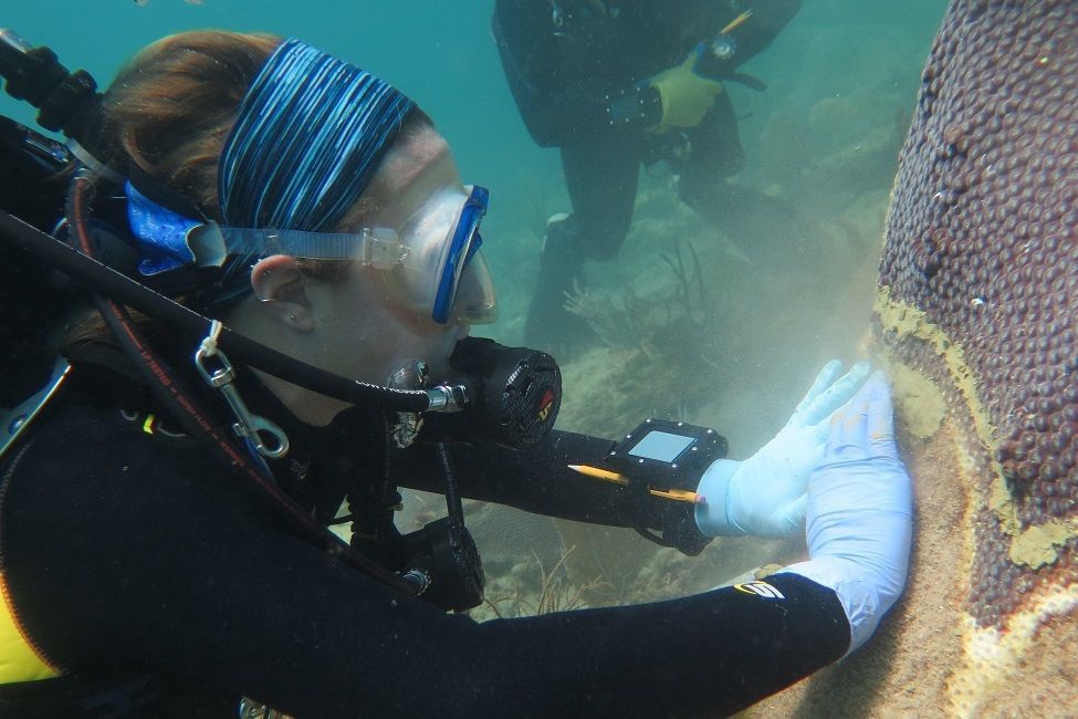 🐠Coral reefs could be treated with antibiotics