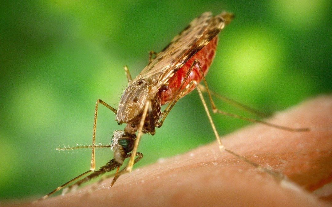 💉 A new malaria vaccine shows better results than expected