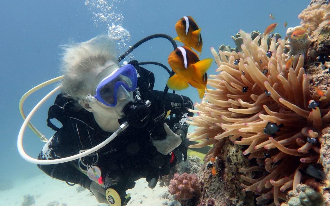 🗺 A “citizen science” project to map the Great Barrier Reef