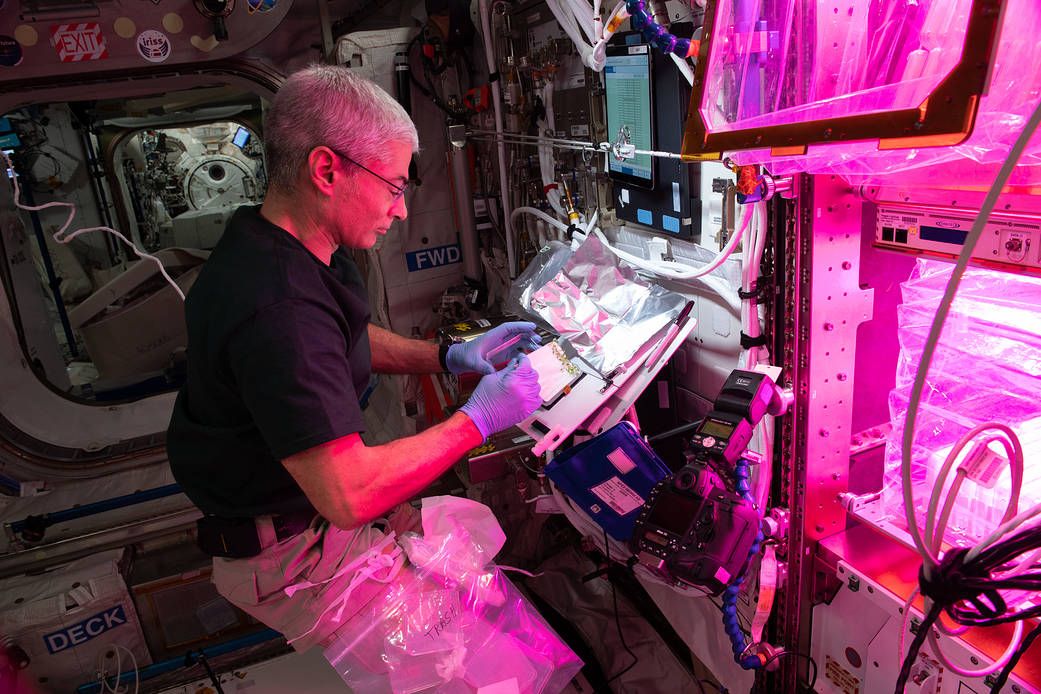 🌟 5 ways ISS has helped push science forward