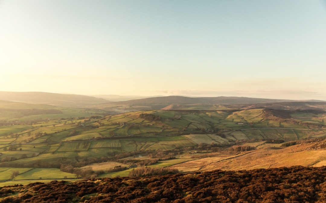 🐿3000 acres are given back to wildlife – England launches massive restoration project