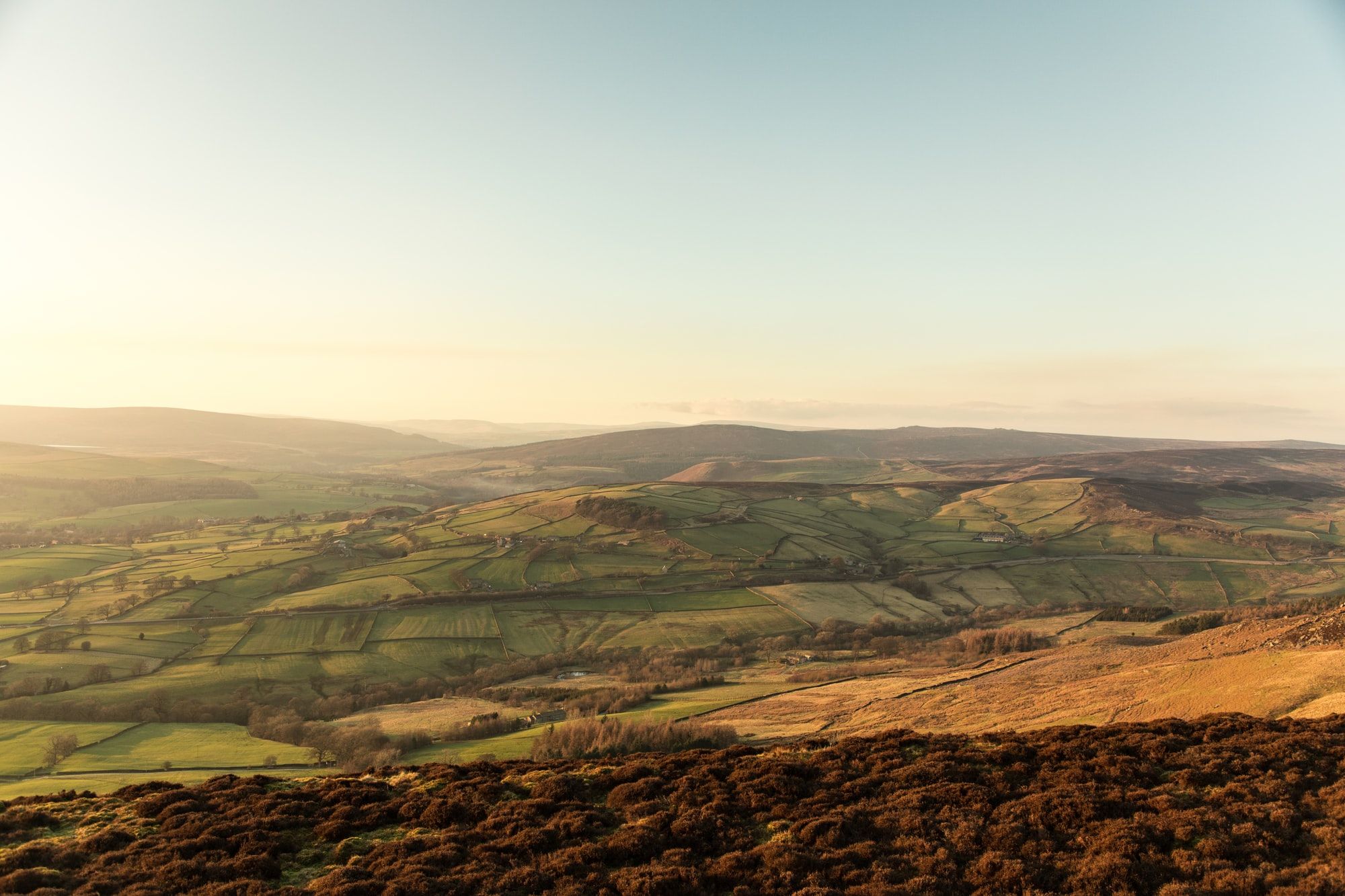 🐿3000 acres are given back to wildlife – England launches massive restoration project