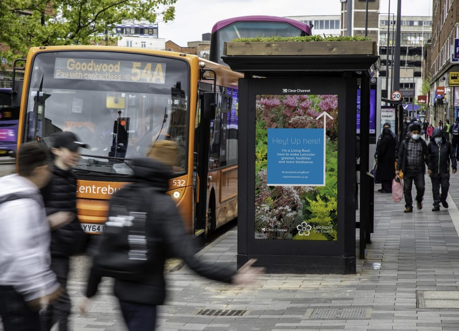 🚏 Bee-friendly bus stops are making cities greener