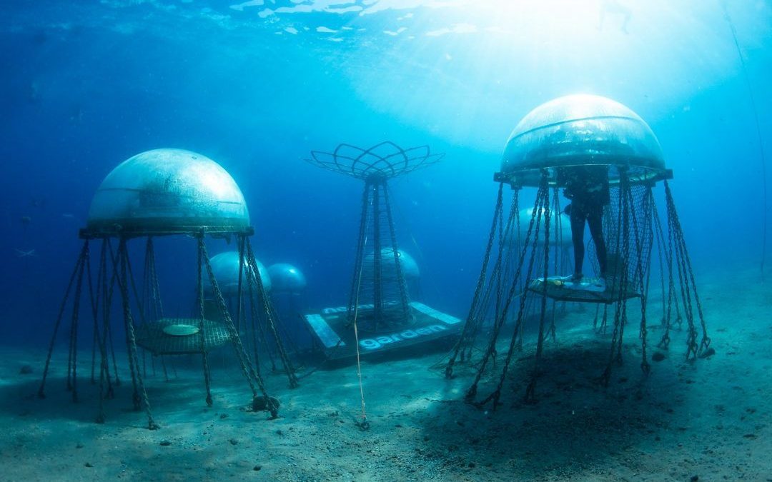 🥬 Underwater farms – the future way to grow food?