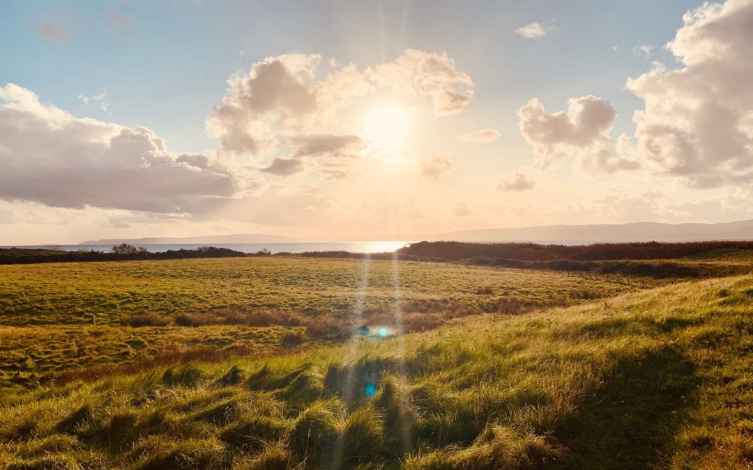 🌱 This project regenerates lost biodiversity and prevent flooding