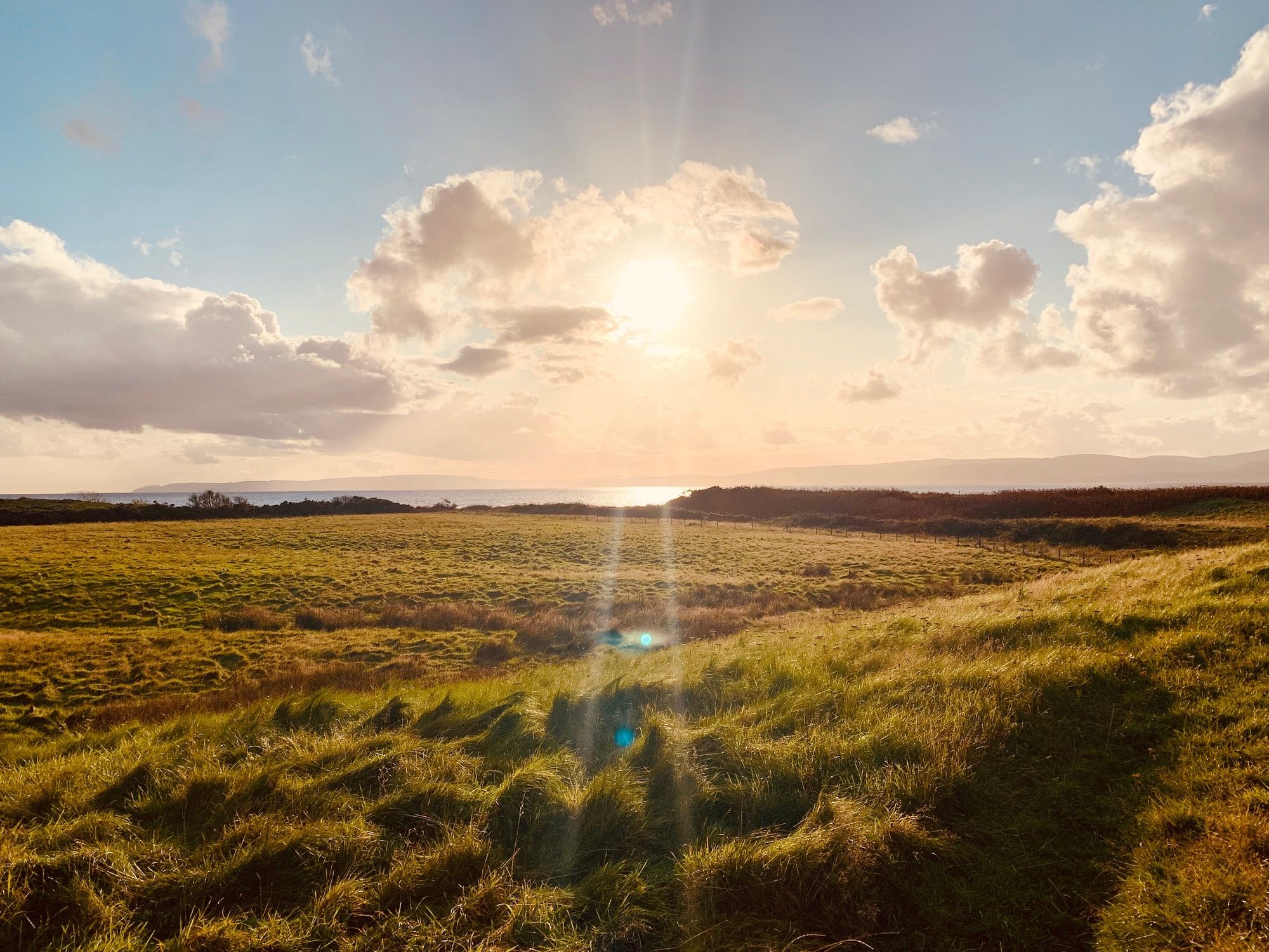 🌱 This project regenerates lost biodiversity and prevent flooding