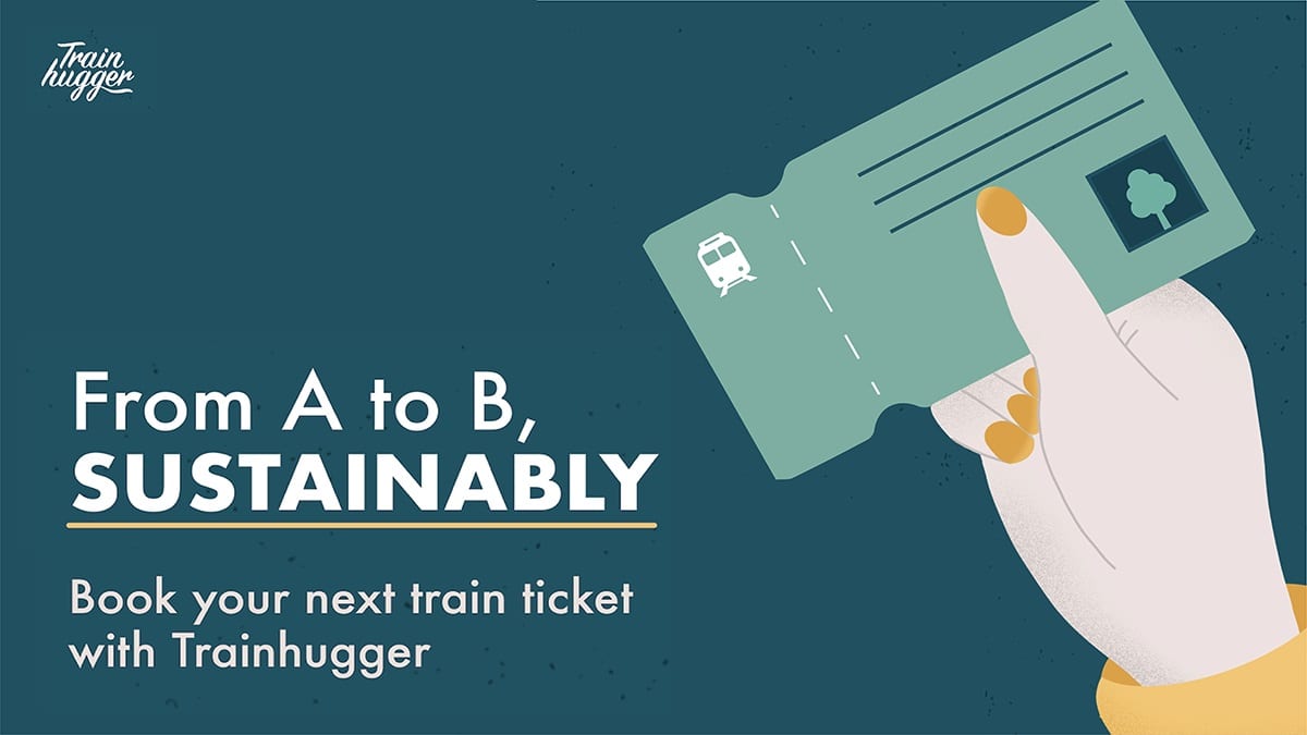 🚞 This company plants a tree for every train ticket sold