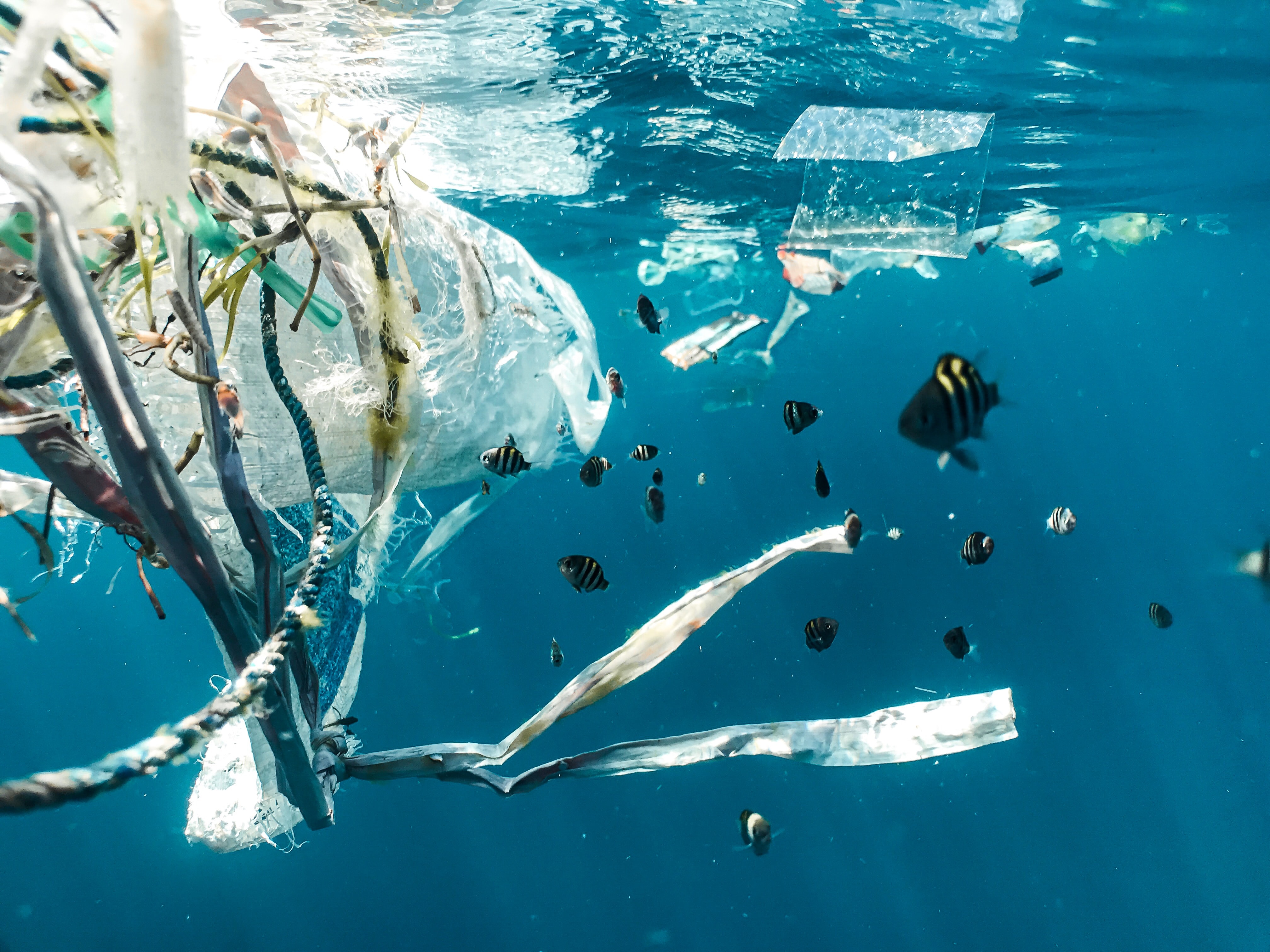 🤖 Bubbles and robots keep rivers clean