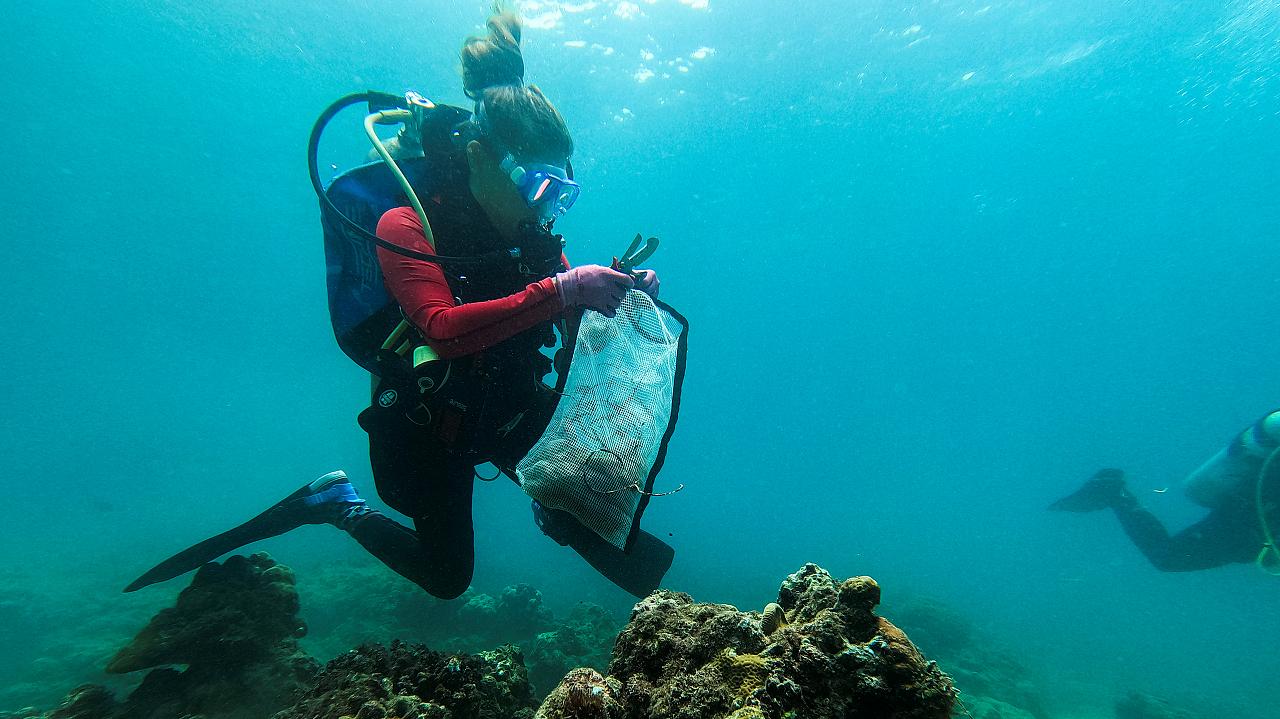 🌍 World Cleanup Day attracted 50 million volunteers