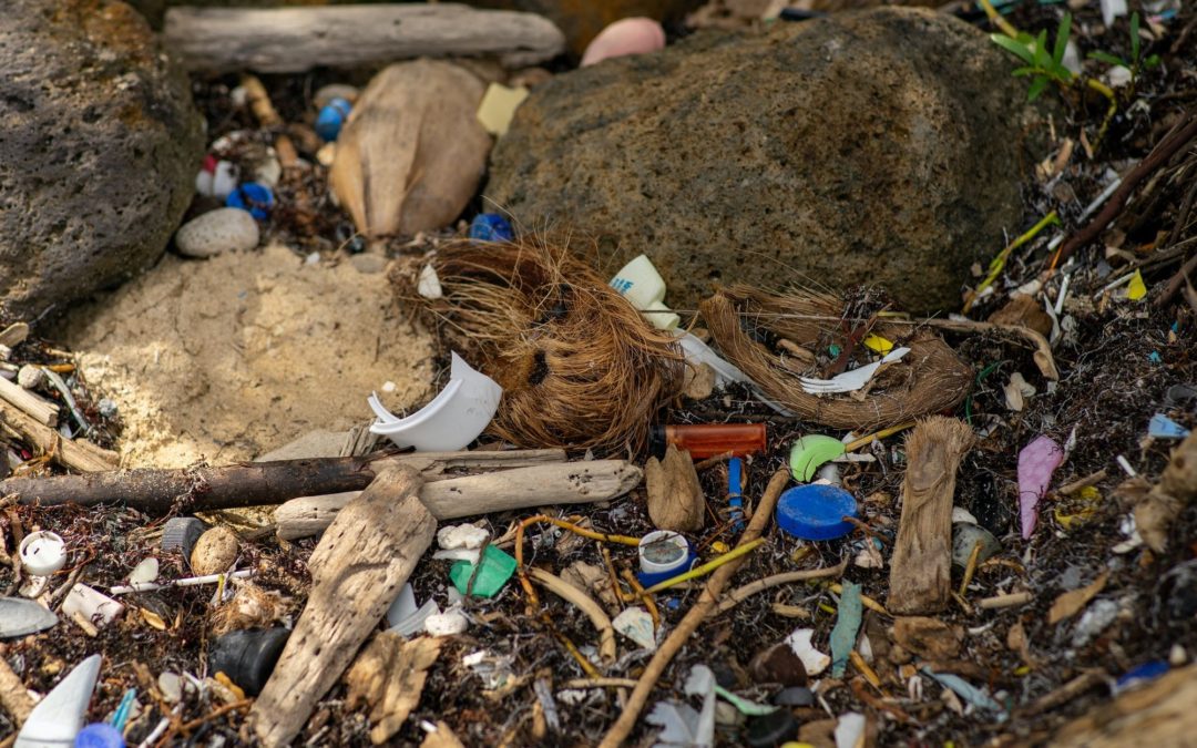 🌍 World Cleanup Day attracted 50 million volunteers