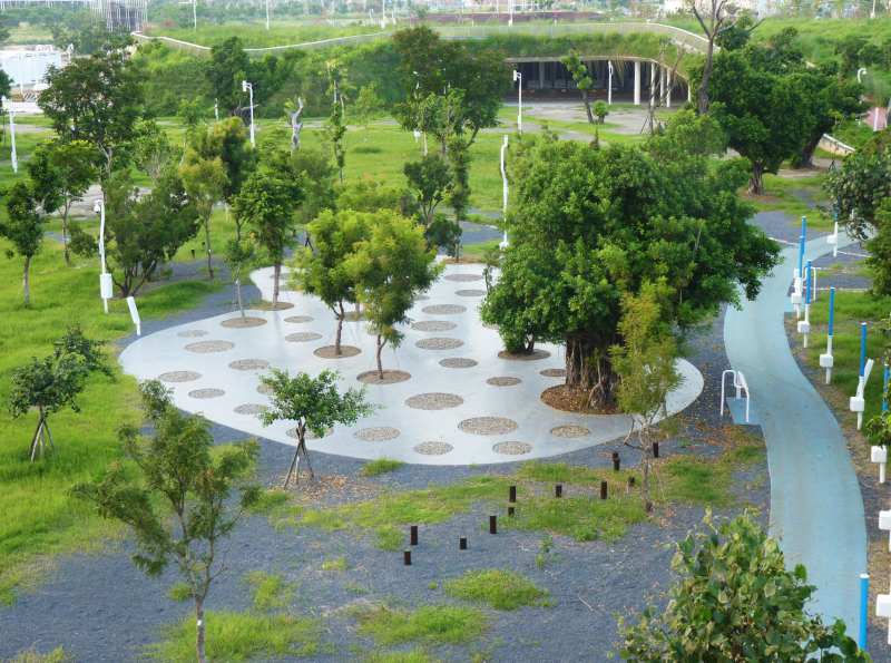 🌳 Abandoned airport becomes sensory experience park