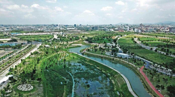 🌳 Abandoned airport becomes sensory experience park