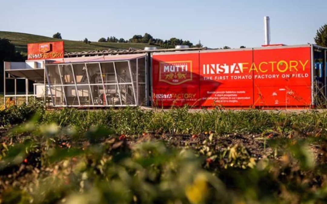🍅 This smart factory takes local produce to the next level