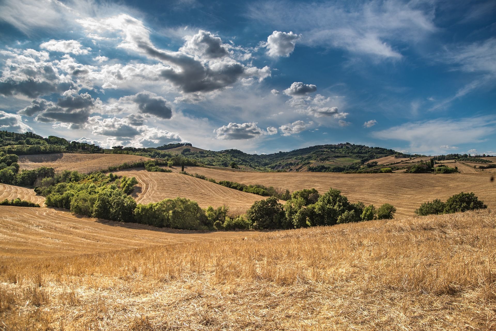 🚜 Fast-growing trees can reduce emissions in agriculture