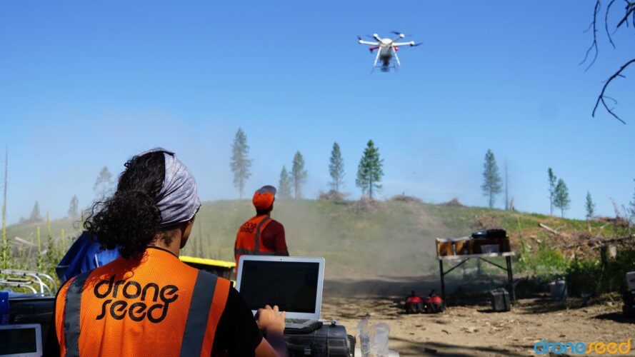 🌳 Drones mean more efficient reforestation