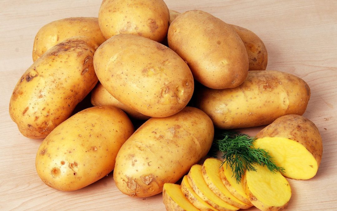 🥔 CRISPR provides potatoes with a longer shelf-life