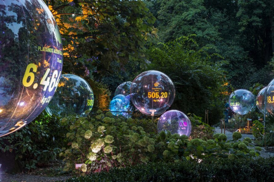 🌳 Installation shows the power of trees CO2-work