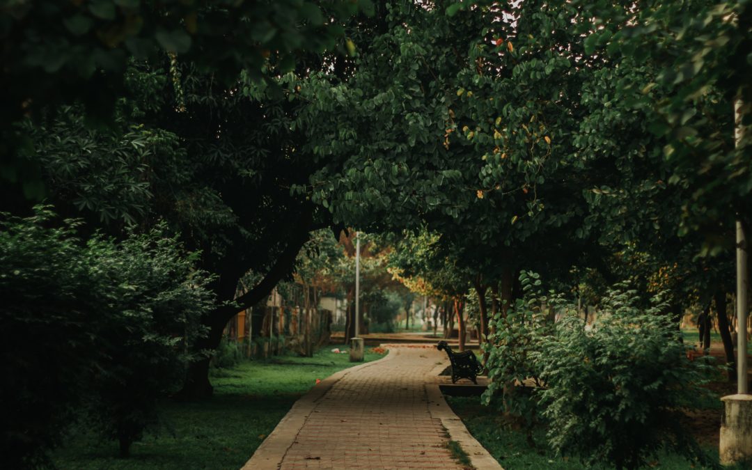 🌆 Green spaces help people feel less lonely