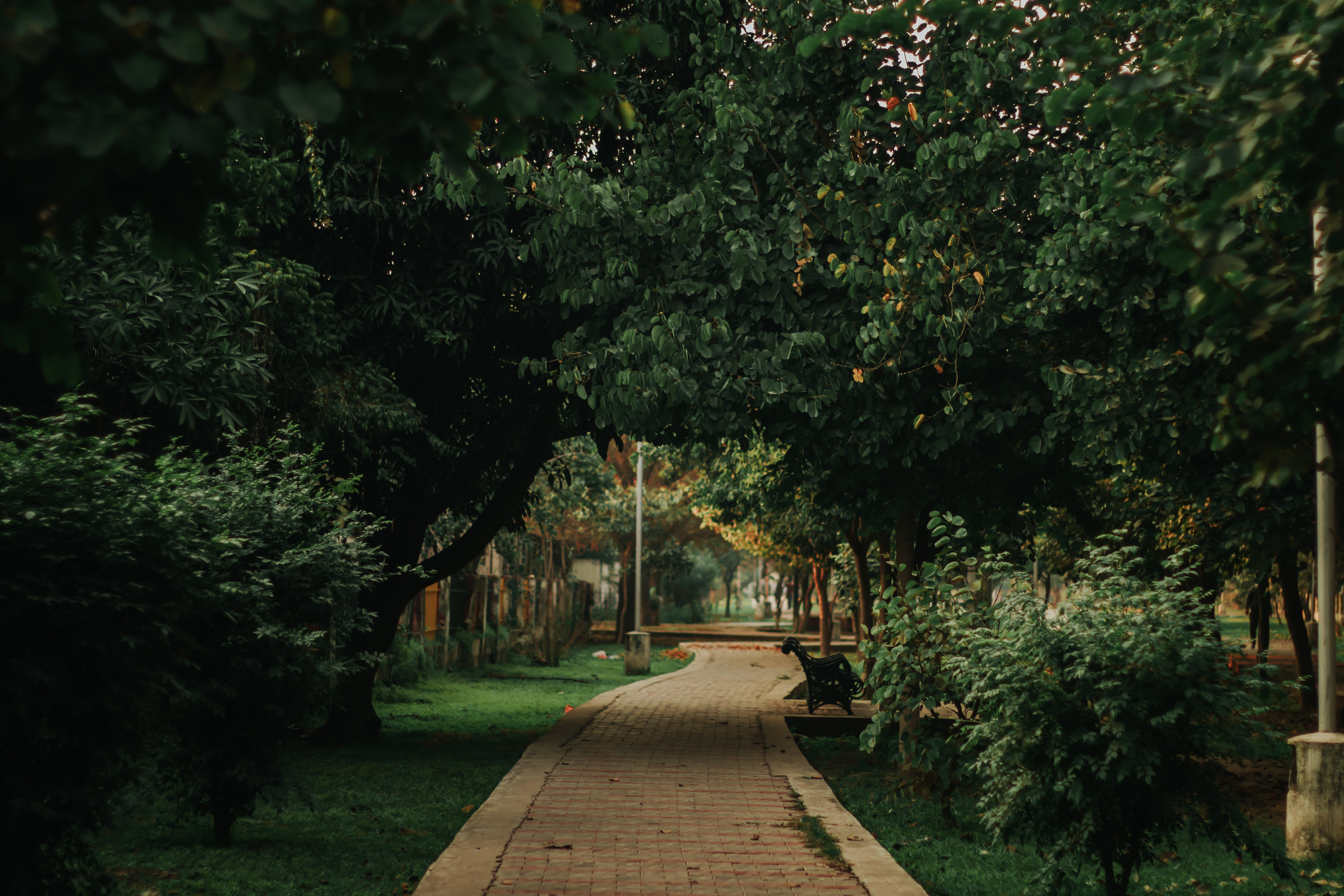 🌆 Green spaces help people feel less lonely